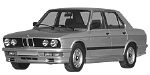 BMW E28 B2009 Fault Code